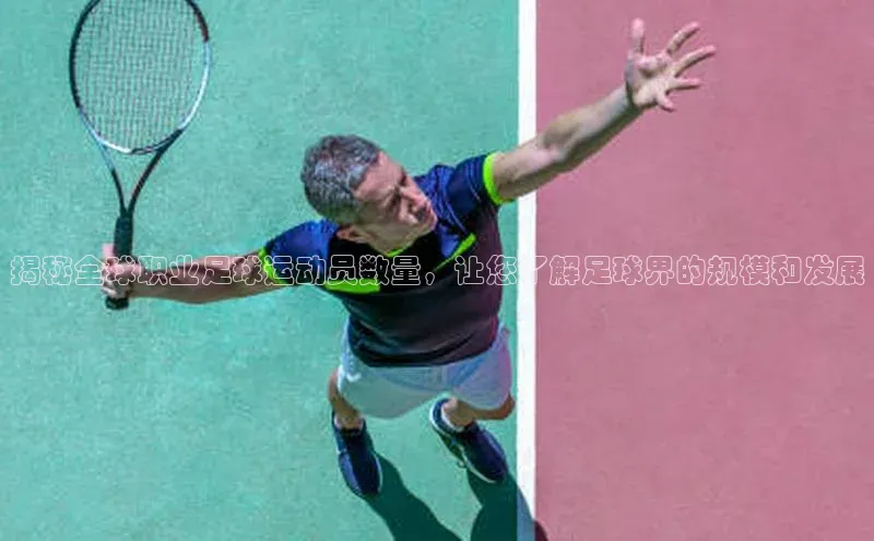 乐虎游戏官方网站小度商城揭秘全球职业足球运动员数量，让您了解足球界的规模和发展