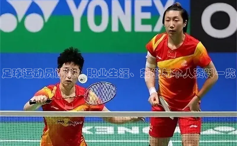 乐虎虎vip官网下载宣亚国际足球运动员谢锐：职业生涯、荣誉与个人资料一览