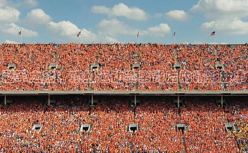 乐虎u66游戏官网入口金山办公冠军之路：顶级运动赛事背后的精彩故事