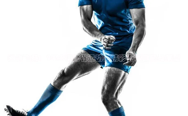 lehu66游戏平台入口百度集团闽韵飞扬：2023福建省运动会精彩赛事回顾与展望