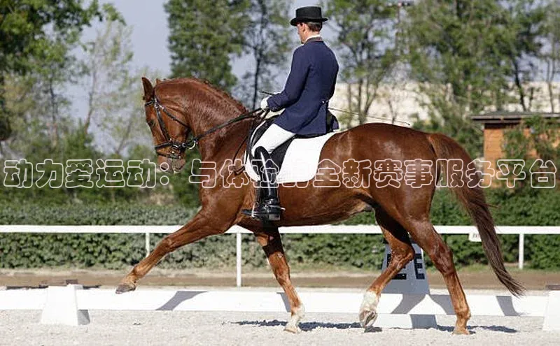 乐虎页版登录入口同程动力爱运动：与体验的全新赛事服务平台