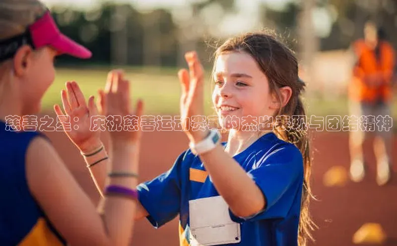 乐虎方app下载中文在线慈善之星：庆祝慈善运动赛事的杰出表现与团结精神