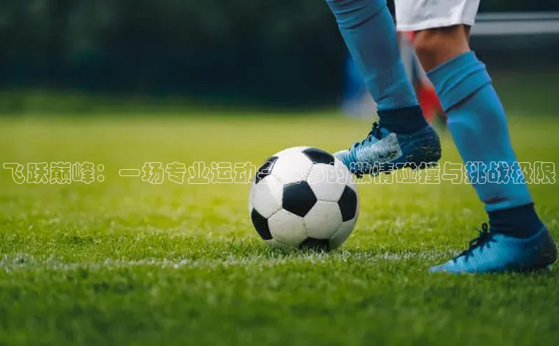 飞跃巅峰：一场专业运动会赛事的激情碰撞与挑战极限