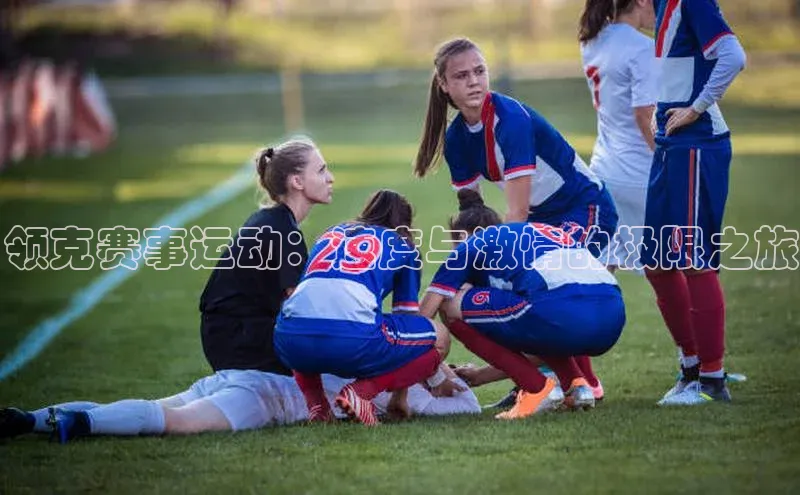 领克赛事运动：速度与激情的极限之旅