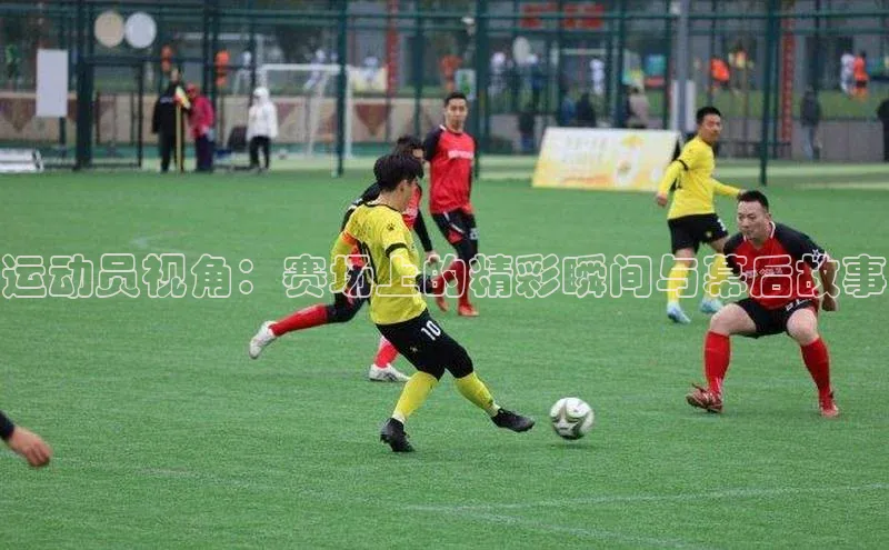 运动员视角：赛场上的精彩瞬间与幕后故事