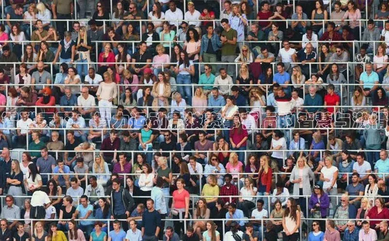 智联天下：智力运动竞技赛事背后的智慧与激情