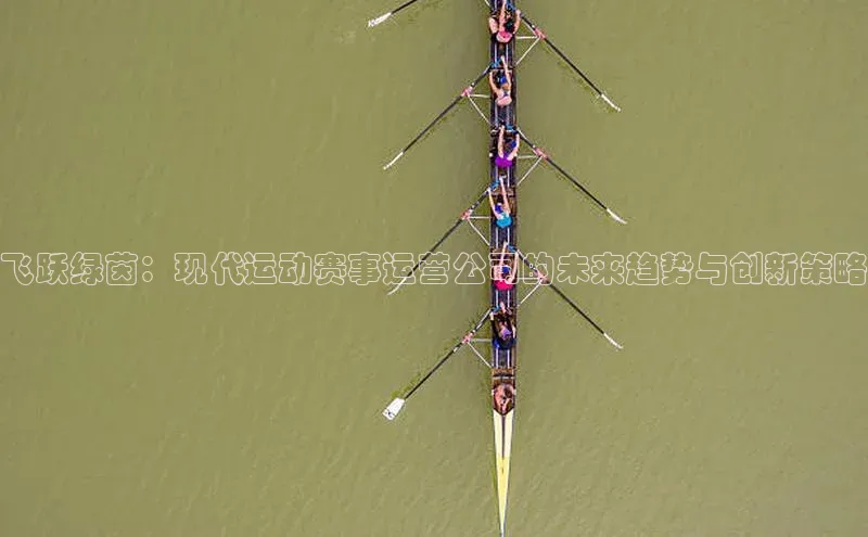 飞跃绿茵：现代运动赛事运营公司的未来趋势与创新策略
