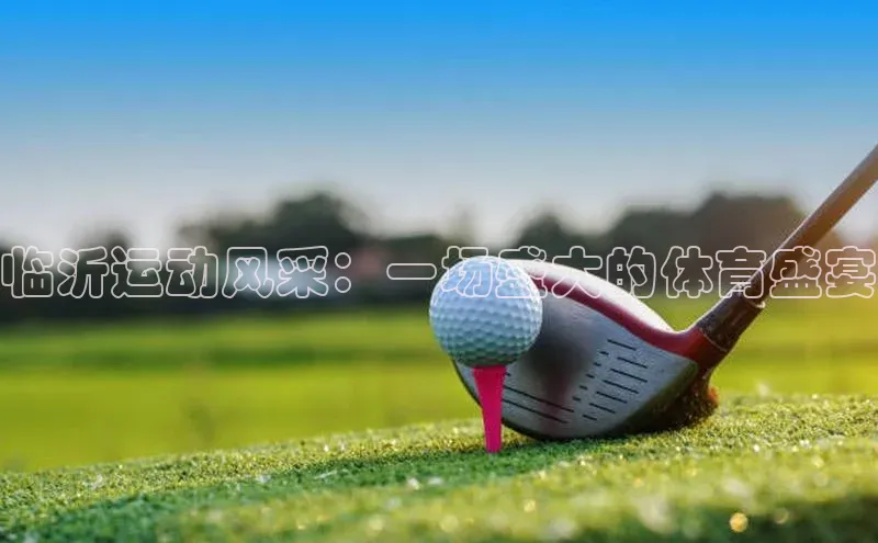 临沂运动风采：一场盛大的体育盛宴