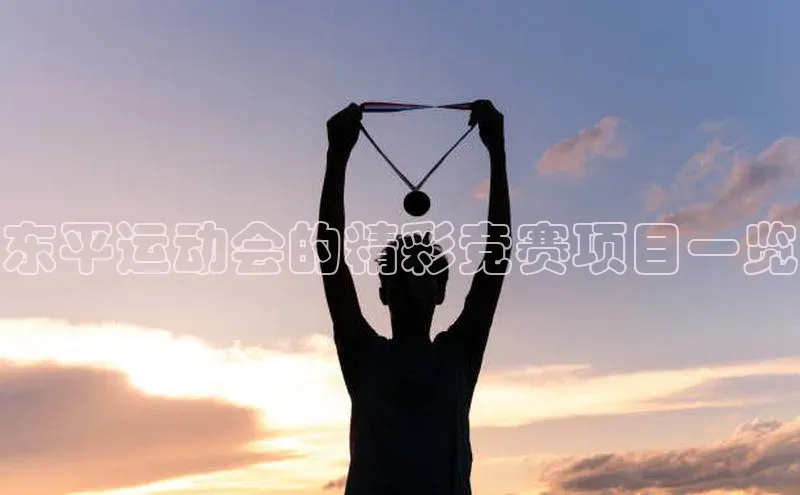 东平运动会的精彩竞赛项目一览