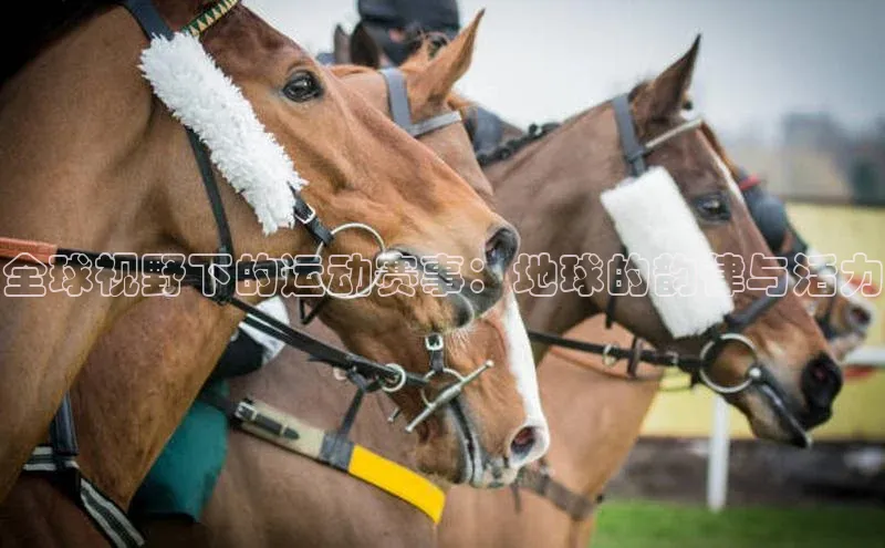 全球视野下的运动赛事：地球的韵律与活力