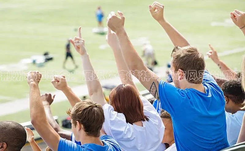 荆州市运动会：展现体育精神与城市风采的盛事