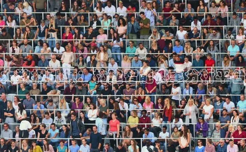 大数据引领：构建智能赛事分析平台