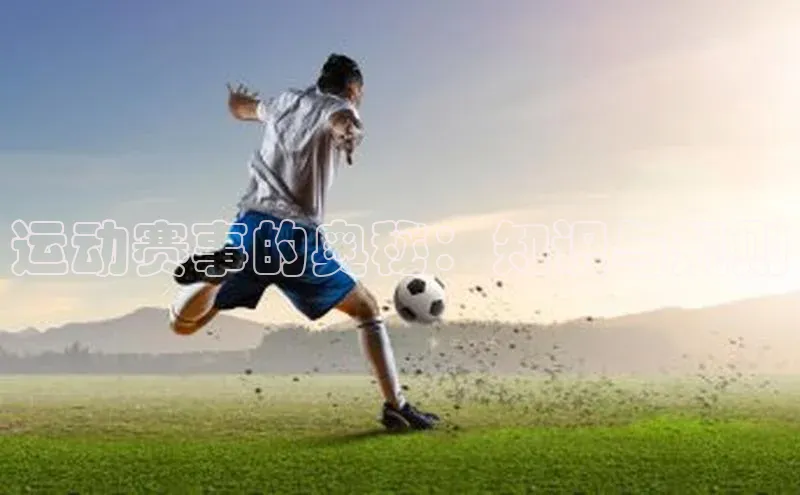 运动赛事的奥秘：知识与规则