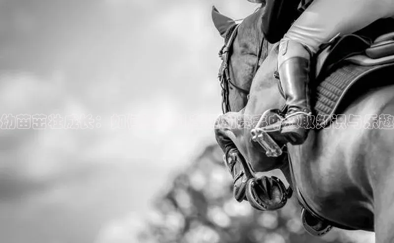 幼苗茁壮成长：如何让幼儿在运动赛事中汲取知识与乐趣