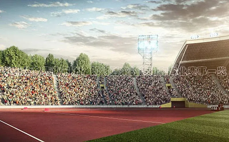 最新体育赛事日历：即将到来的热门和专业赛事一览