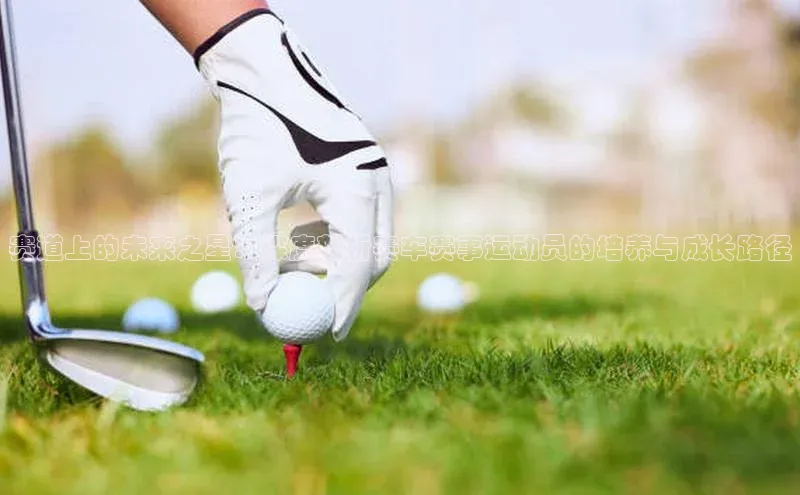 赛道上的未来之星：深度剖析赛车赛事运动员的培养与成长路径