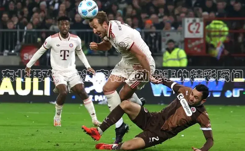 东北狂欢：大连宠物运动赛事的精彩瞬间