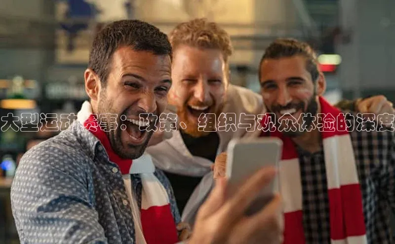 大型运动赛事：政策、组织与观众体验的深度