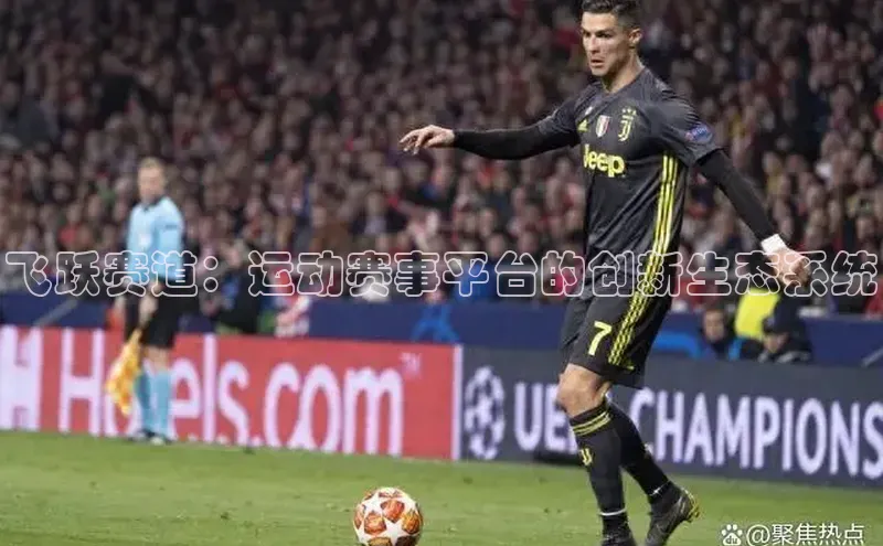 飞跃赛道：运动赛事平台的创新生态系统