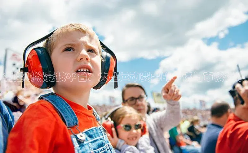 构建顶级竞技平台：大型运动赛事的申请与审核标准