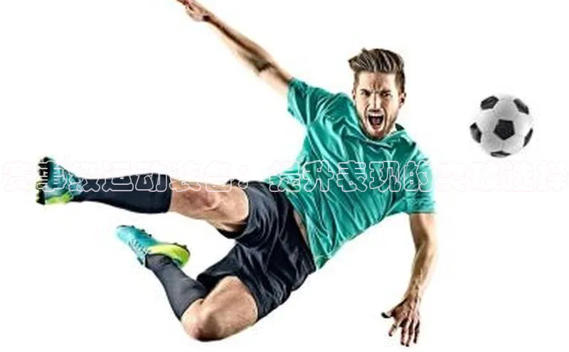 乐虎网页版登录入口