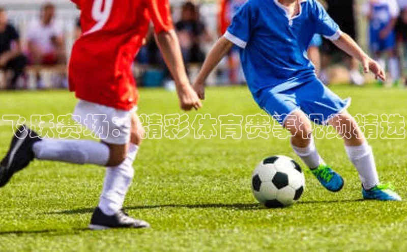 lehu66乐虎官网平台